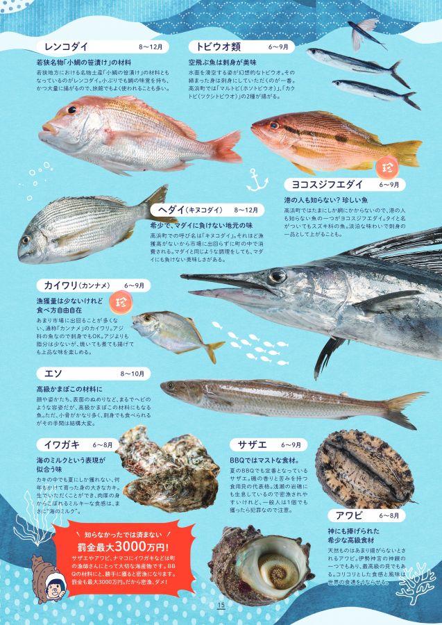 たかはまおさかな大図鑑