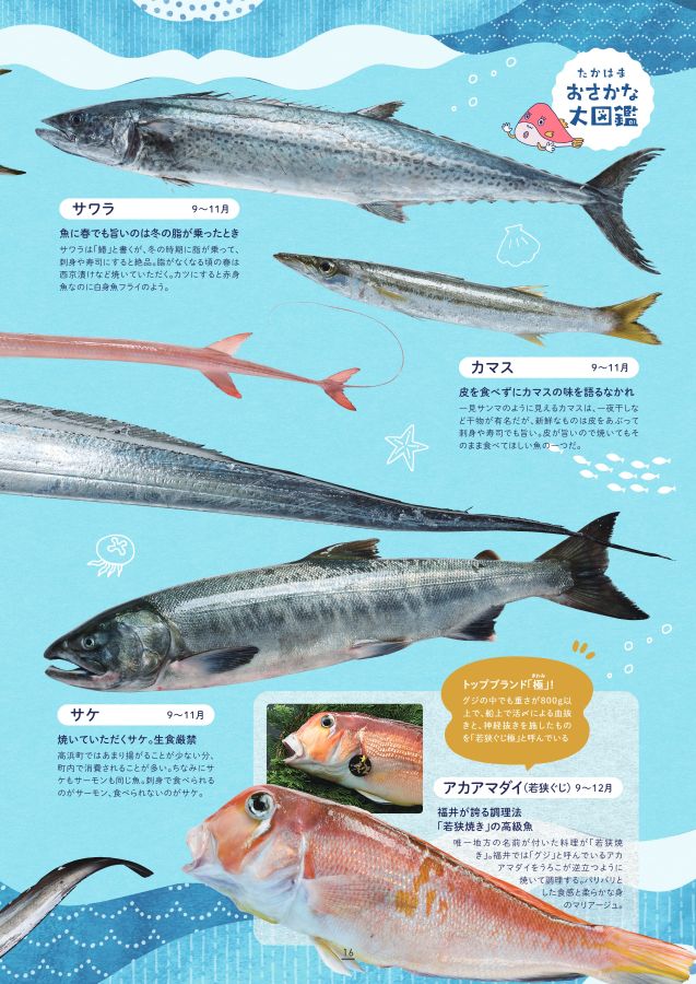 たかはまおさかな大図鑑
