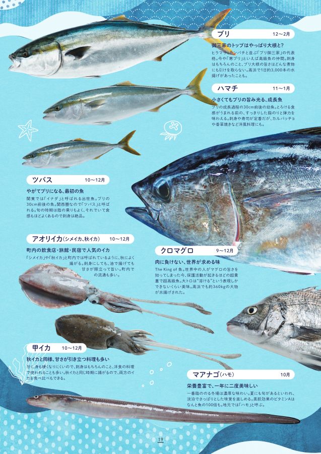 ZINE】黒潮魚の譜ー長嶋祐成/Yusei Nagashima | 本屋しゃんのお店